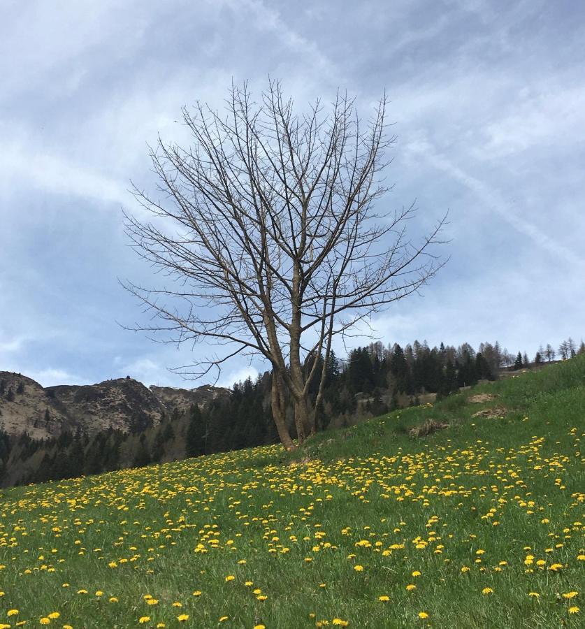 B&B Gottardo Airolo Buitenkant foto